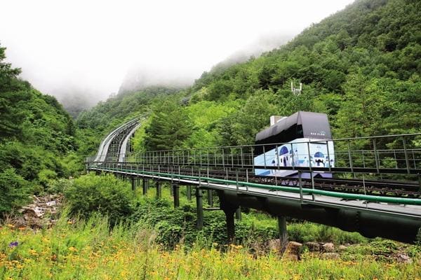 삼척 가볼만한곳 베스트10