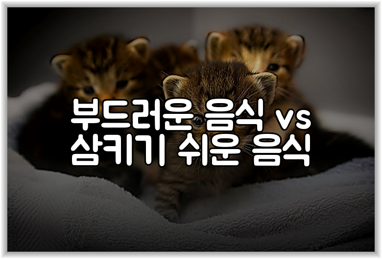 부드러운 음식 vs 삼키기 쉬운 음식