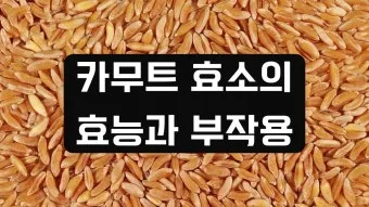 카무트 효소 부작용 효능 먹는법_2