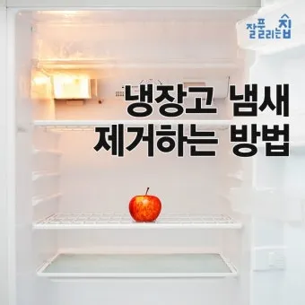 냉장고 냄새 김치통 밀폐와 랩 씌우기 식재료 분리 정리_9