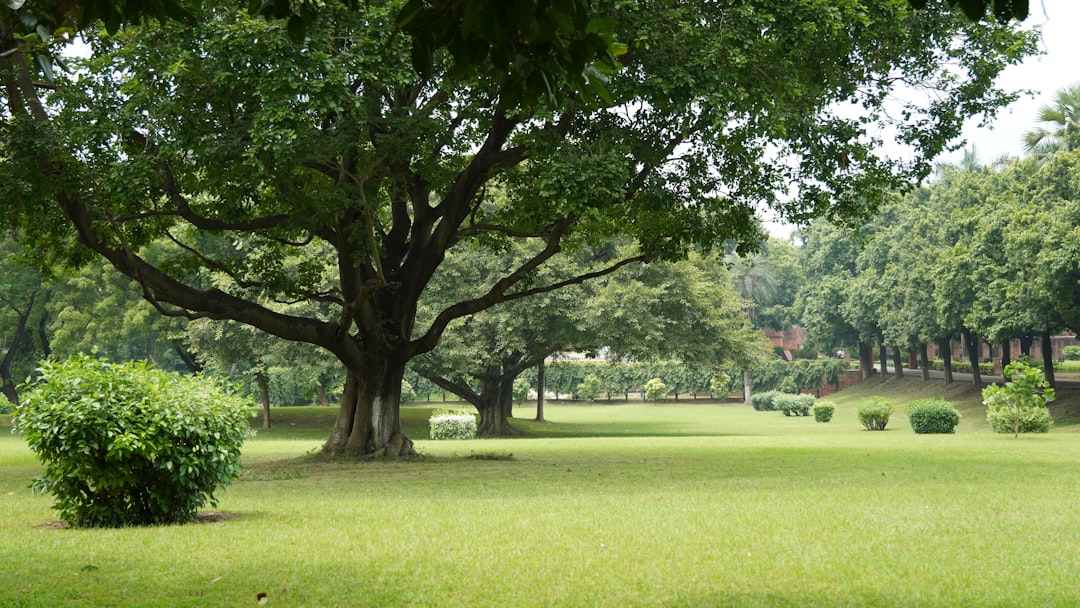 'Eco-Park'