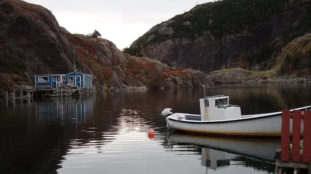 베짱이 vs 배짱이 맞춤법 올바른 표기와 의미 차이 예시로 정리로_2
