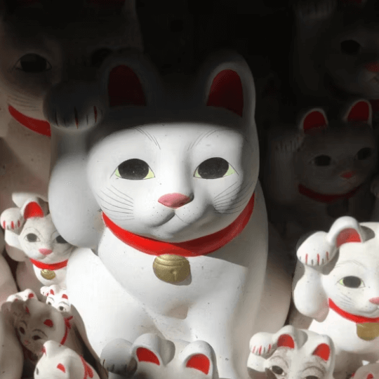 일본 엔화