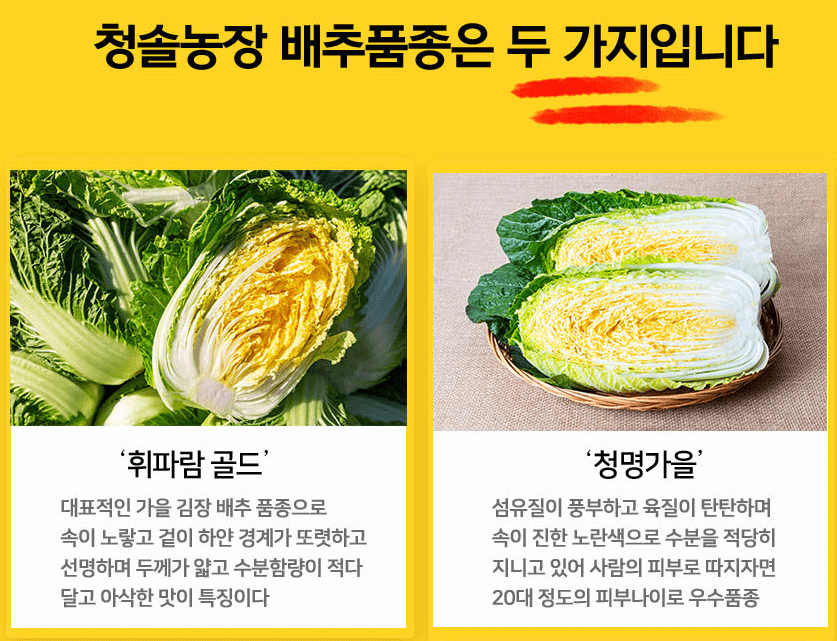 해남 절임배추 20kg 사전예약 가격비교