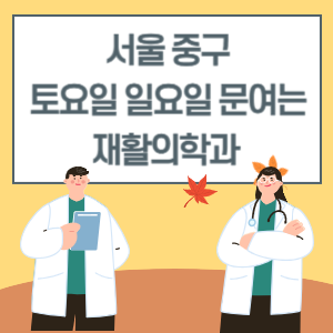 서울 중구 토요일 일요일 재활의학과 진료 병원 리스트