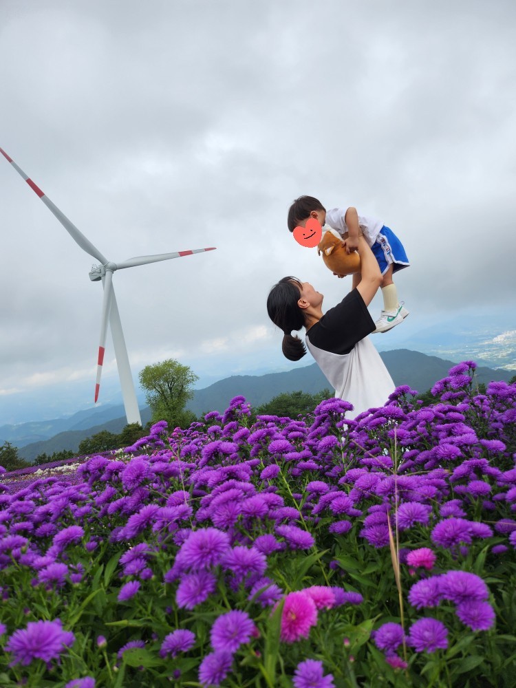 아스타 국화 속의 엄마와 아이