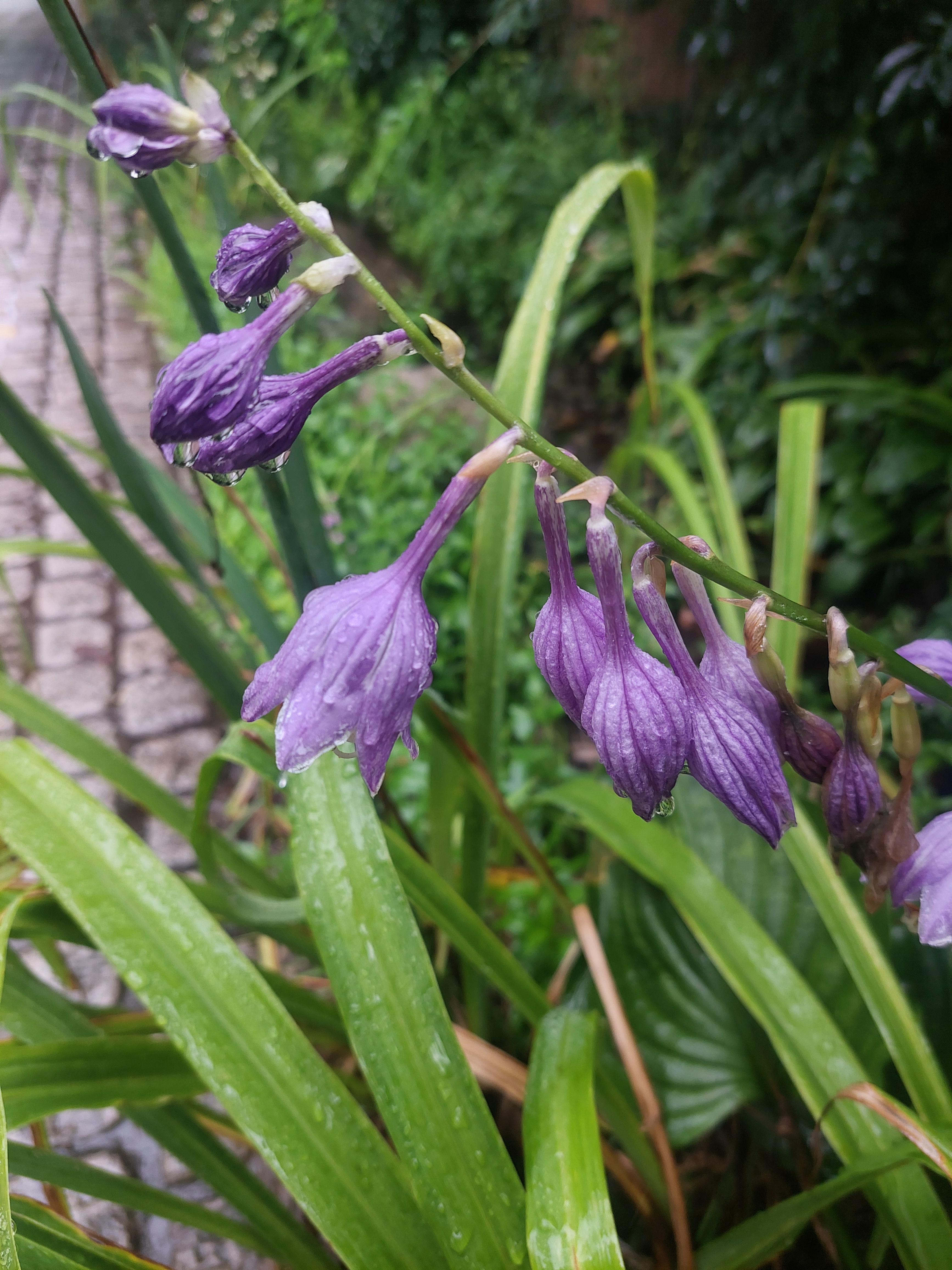 남산매봉산