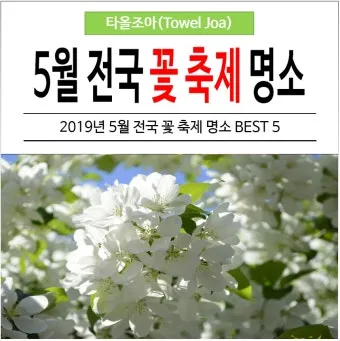 아파트 화단에 핀 5월의 꽃 송엽국 작약 금계국 털개구리미나리_15