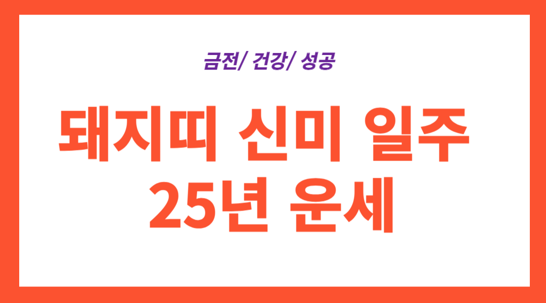 돼지띠 신미일주 25년 운세