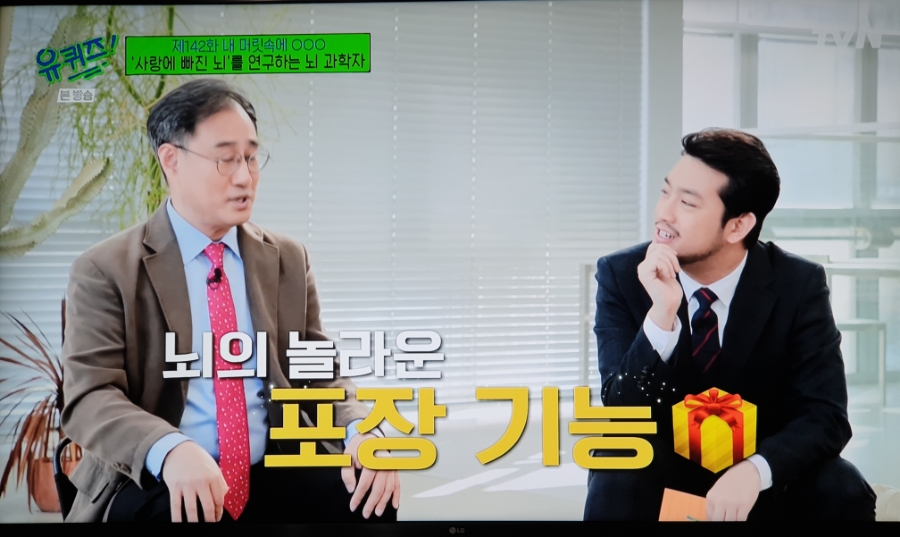 메타인지