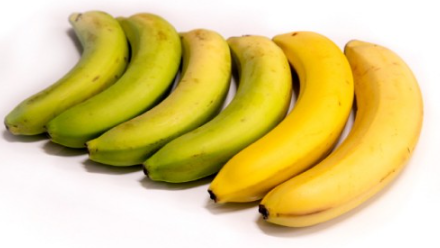 바나나-숙성