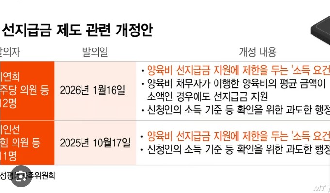 양육비 선지급금 