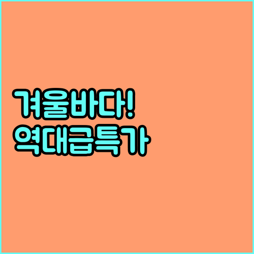 겨울 바다 여행 동해 남해 제주 맞춤..