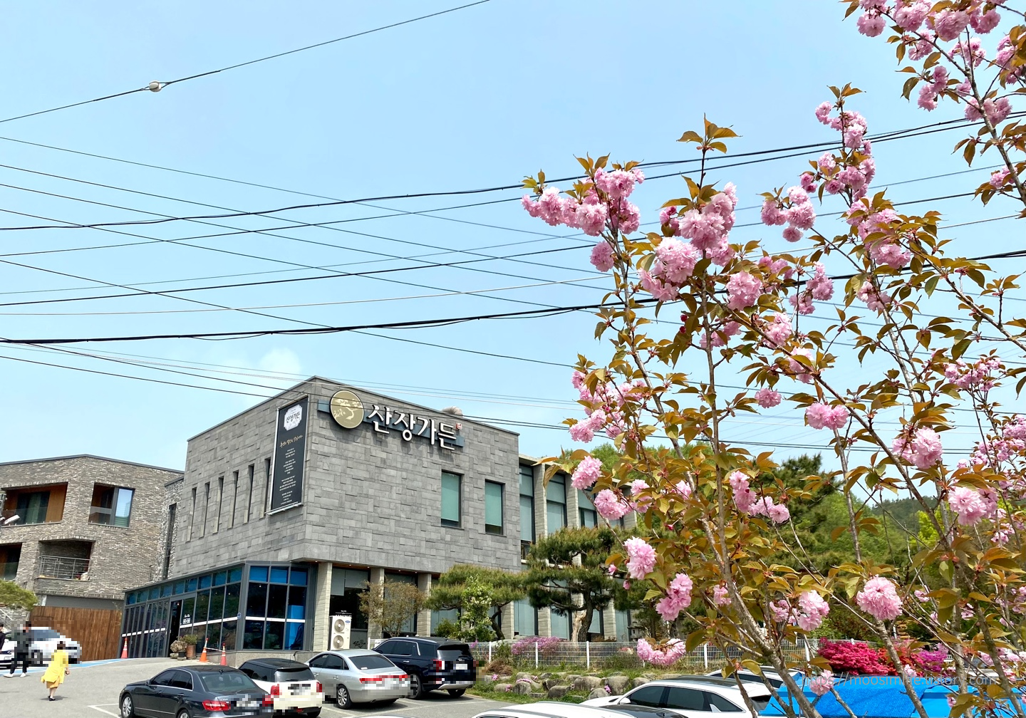 세종 연서면 산장가든-숯불돼지갈비