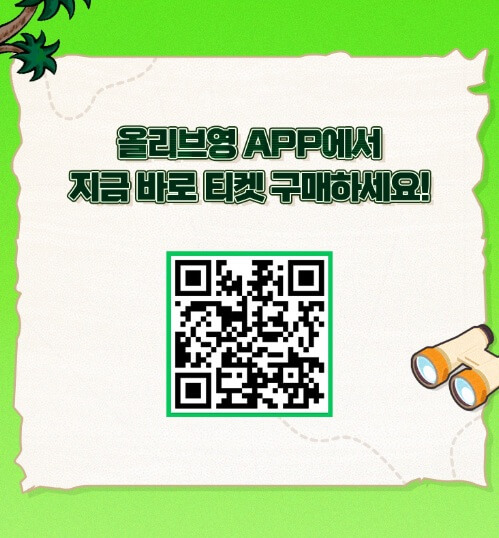 2025 올리브영 페스타