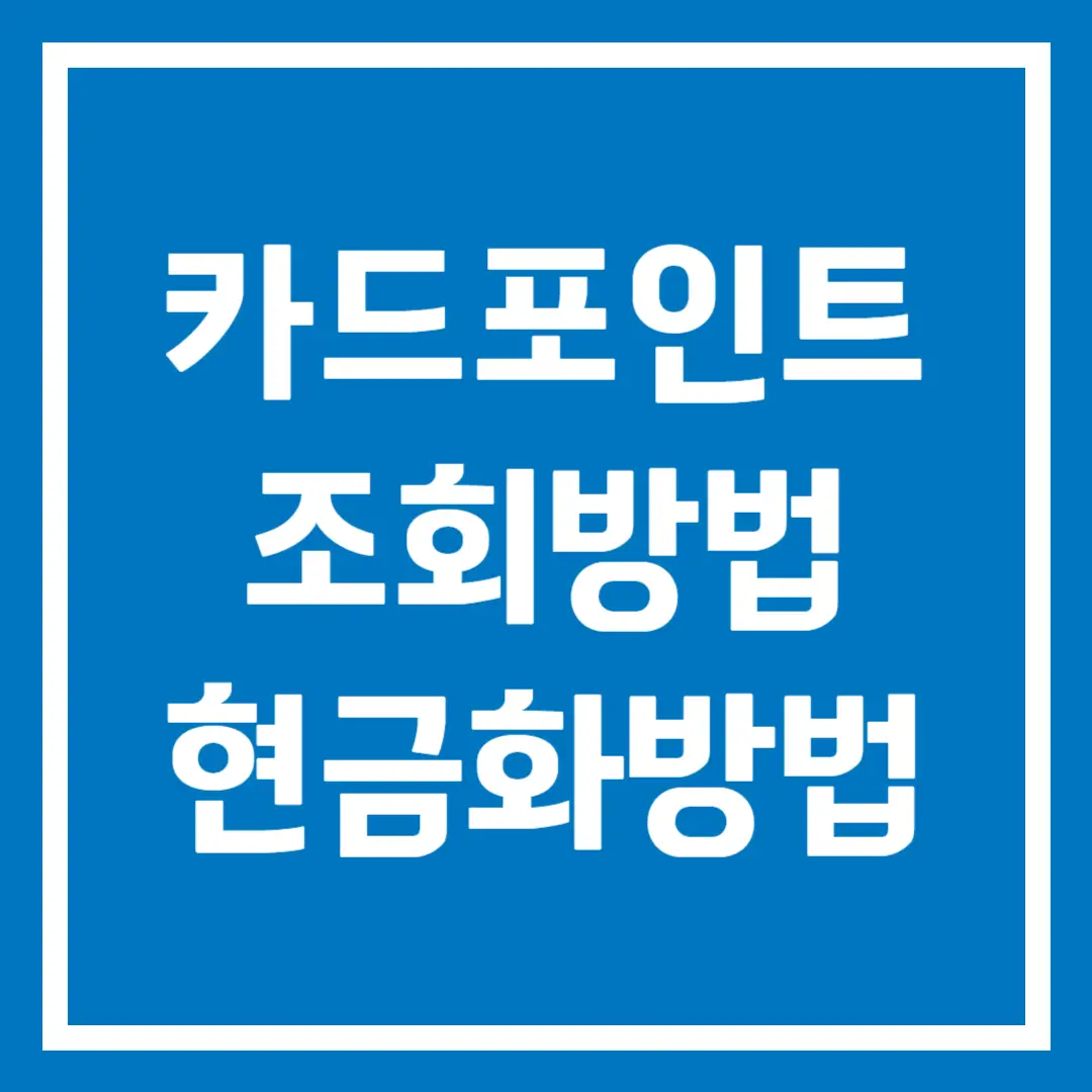 내 카드포인트 조회 방법, 현금화 방법