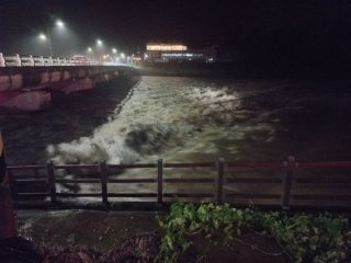 울산 태화강 폭우 피해