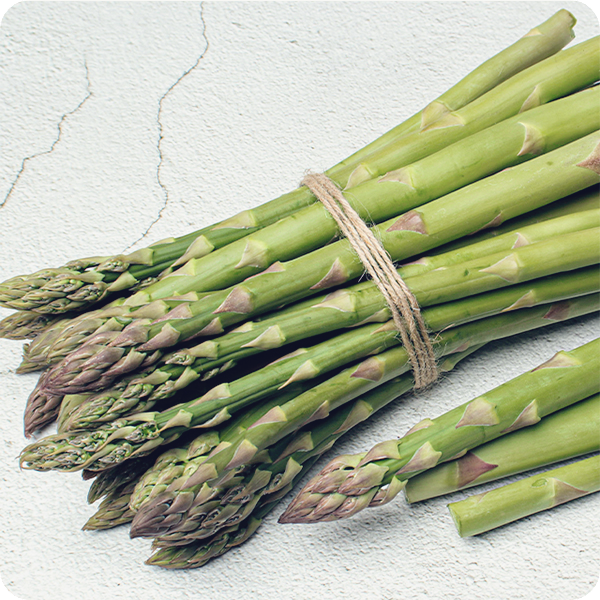 아스파라거스-효능