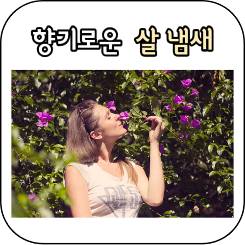 살냄새-썸네일