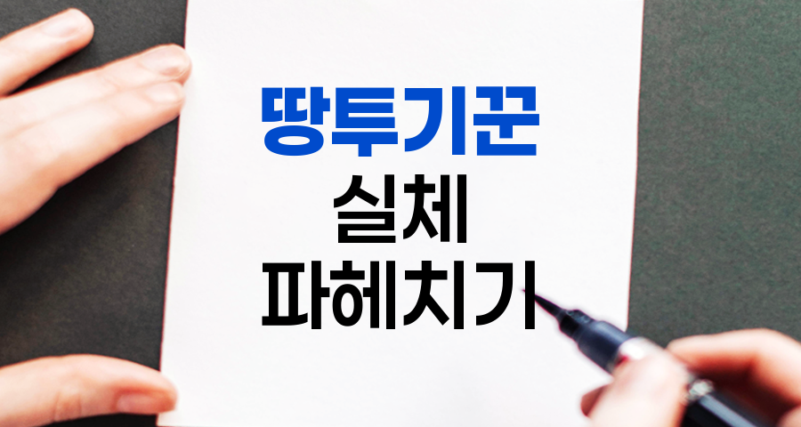 땅투기꾼, 부동산 시장의 양면성