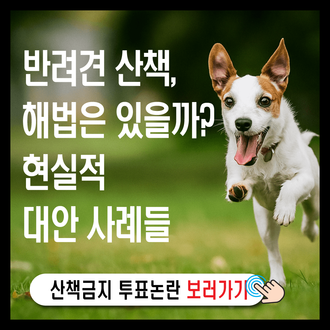 반려견 산책, 해법은 있을까? 현실적 대안 사례들-썸네일