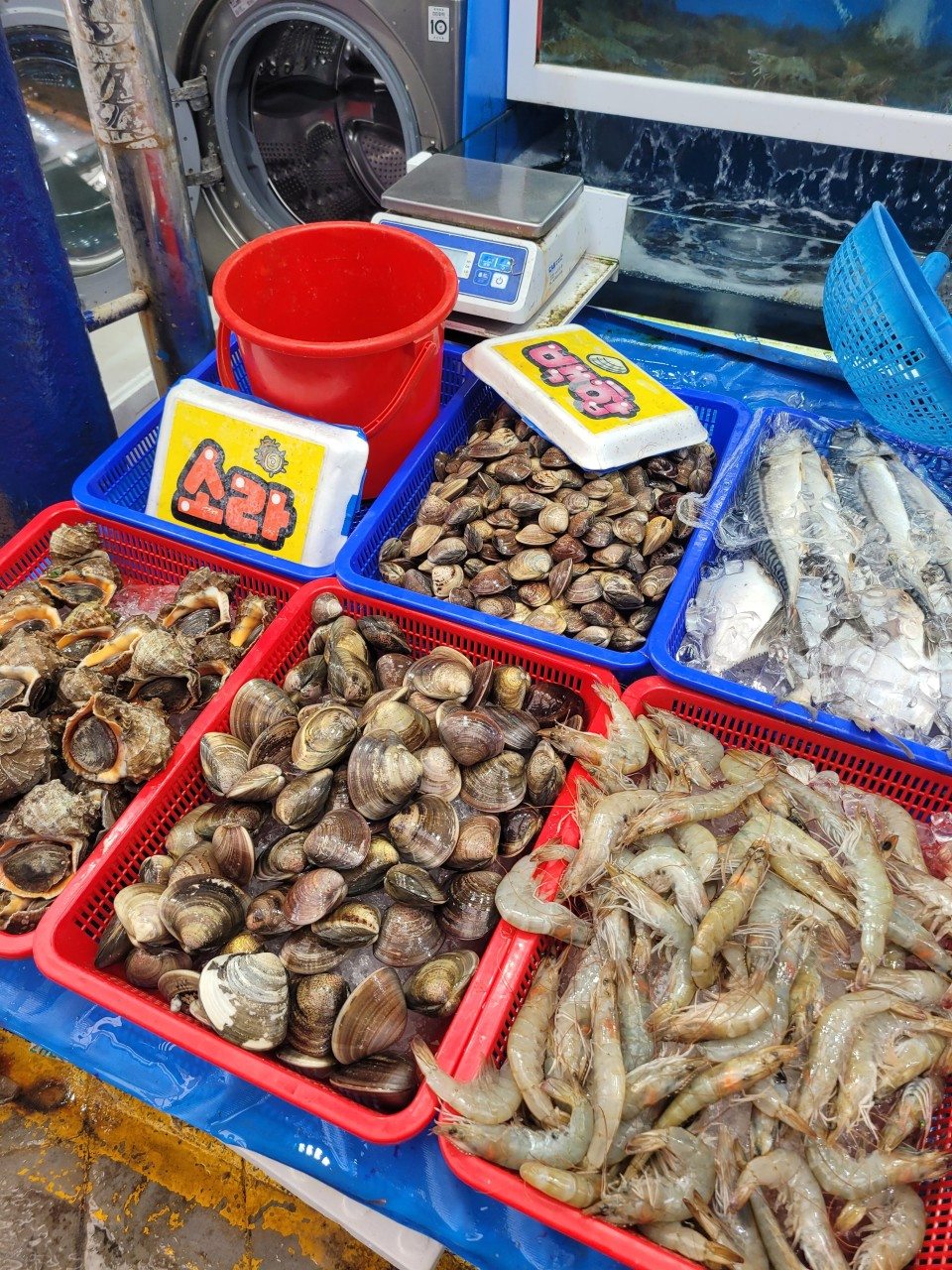 부안시장 돼지갈비 꽃게 갑오징어 구매