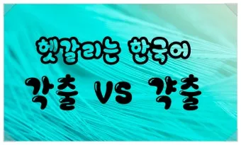 갹출 뜻 각출과 갹출 각출 비교_25