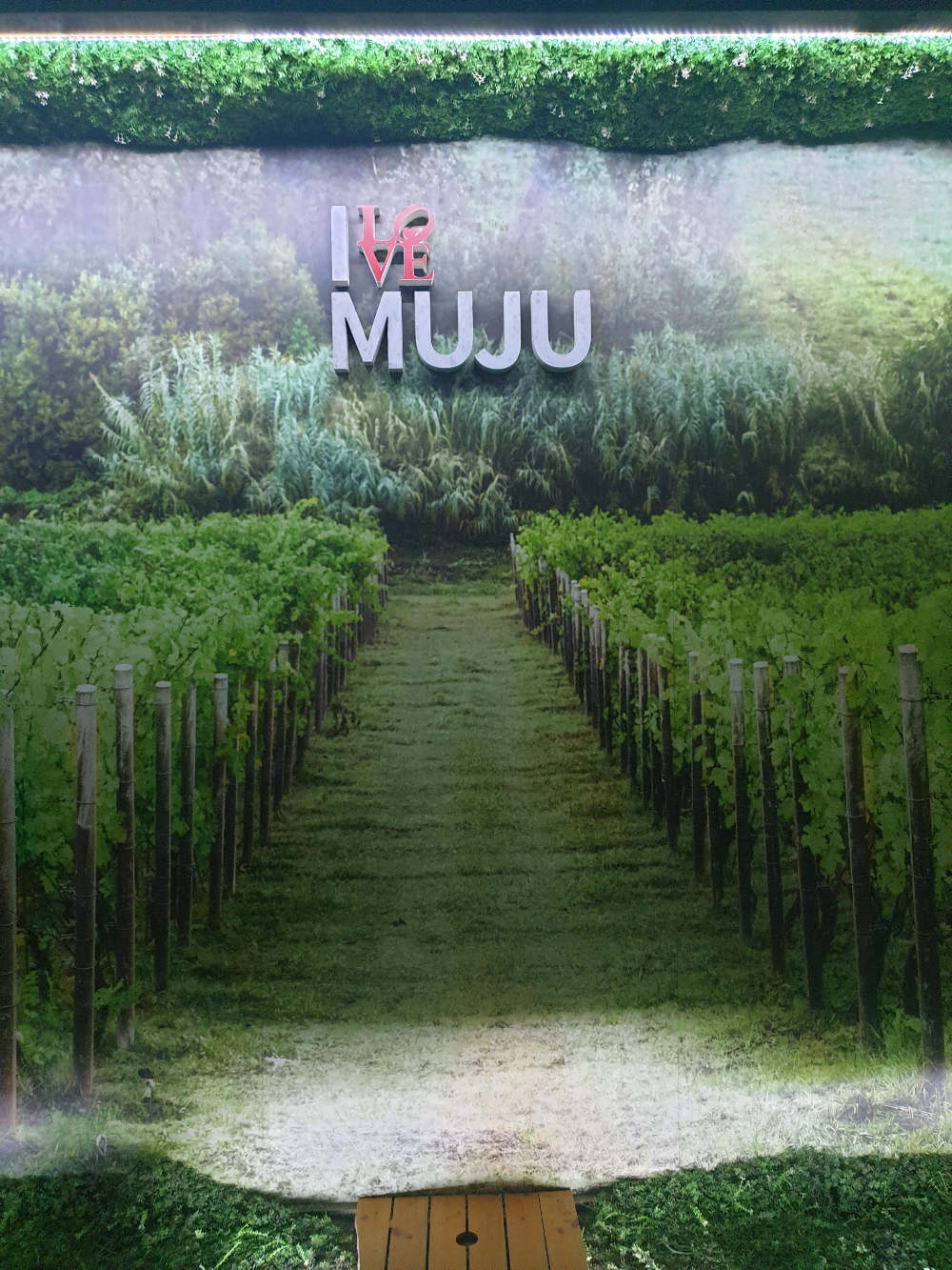 I LOVE MUJU라는 글귀와 머루 포도밭 아트웤