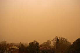 황사 vs 미세먼지의 차이 -심한황사