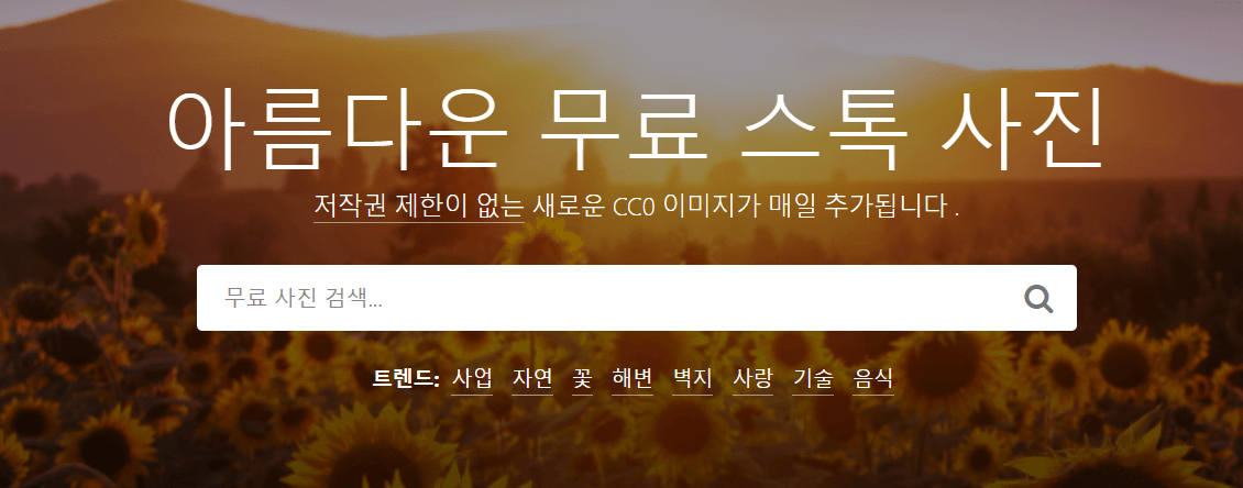 무료이미지 다운로드 사이트 스톡스냅