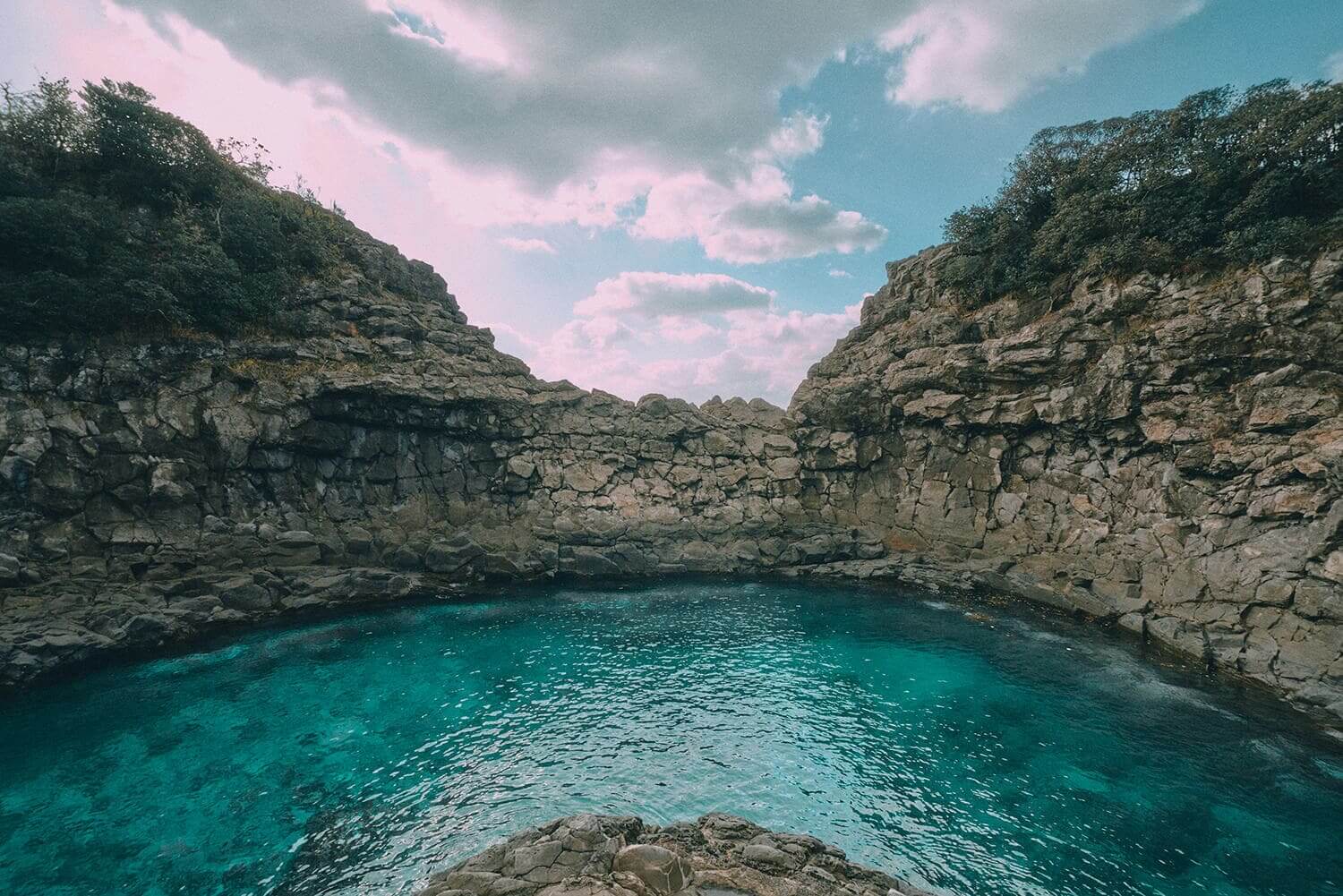 초보자도 쉽게 도전! 걷기 좋은 올레길 BEST 5 🌿