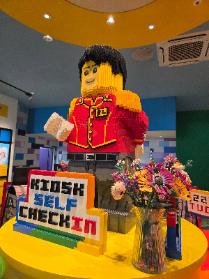 레고를 잘 활용하는 집과 그렇지 못한 집의 차이