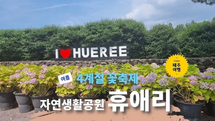 제주 여름 축제 일정표 불꽃놀이 포함 행사 소개_2