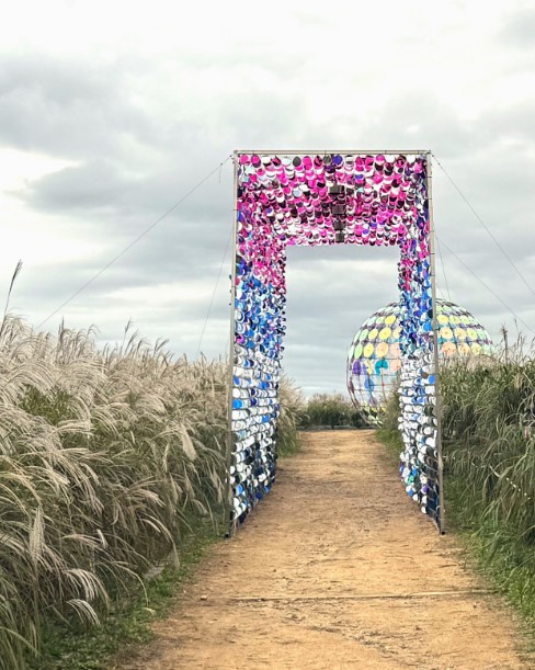 2025 서울억새축제 완벽 가이드 | 10월18~24일 하늘공원 일정·주차·야간개장 총정리