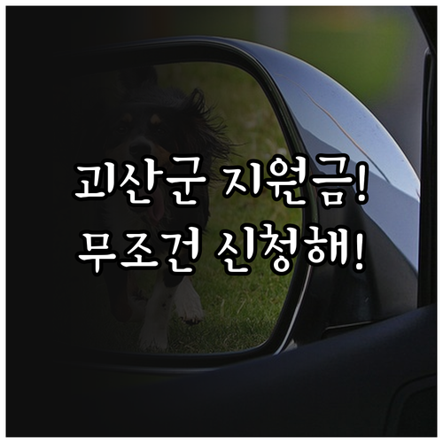 괴산군 지원금 문의처 및 복지 혜택 ..