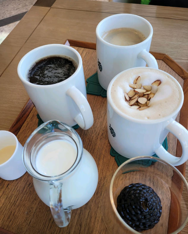 생방송 투데이 고성 더엠브로시아 카페 커피 경치 맛집