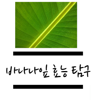 효능에 대해 알아보자