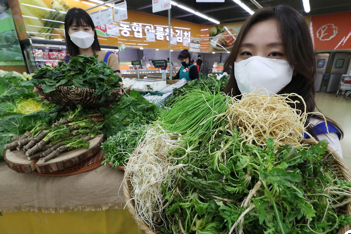 봄나물 종류와 사진