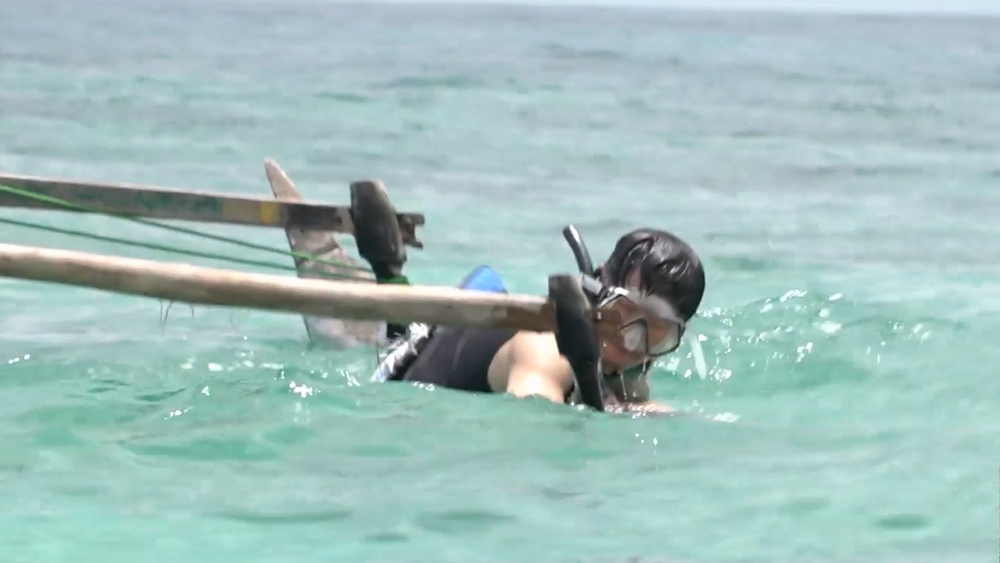 태계일주3방송화면