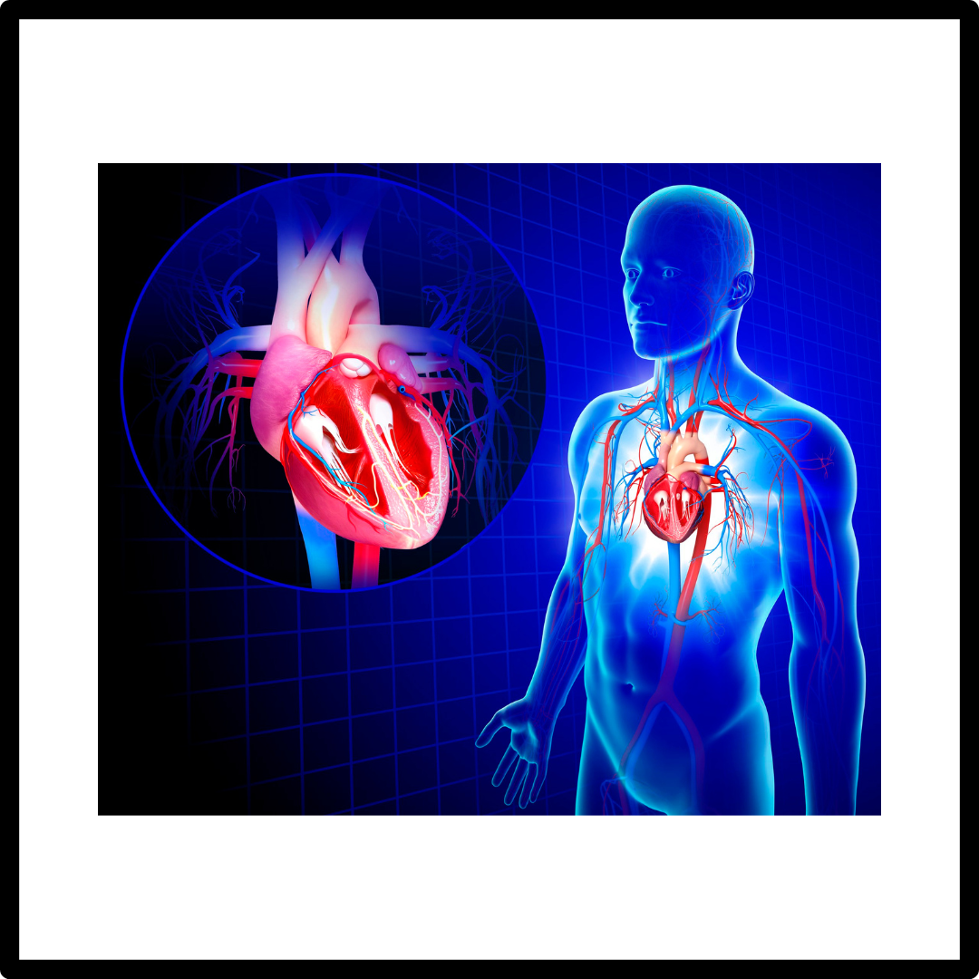 오메가-3 건강 효과와 보관 방법