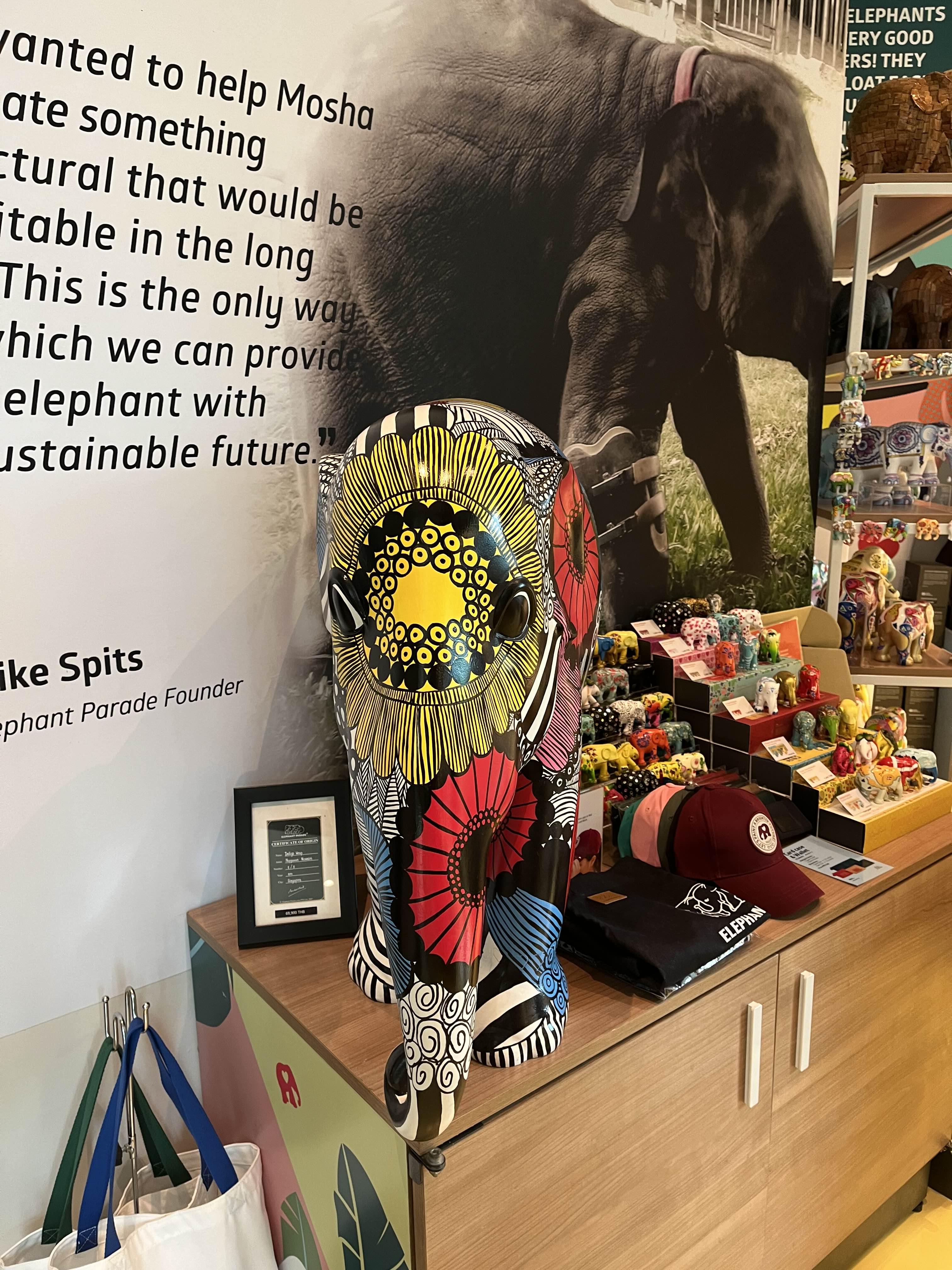 태국 쇼핑리스트