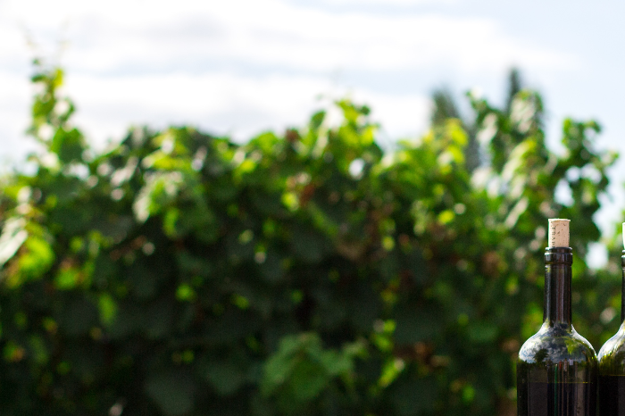 와인평가하는법