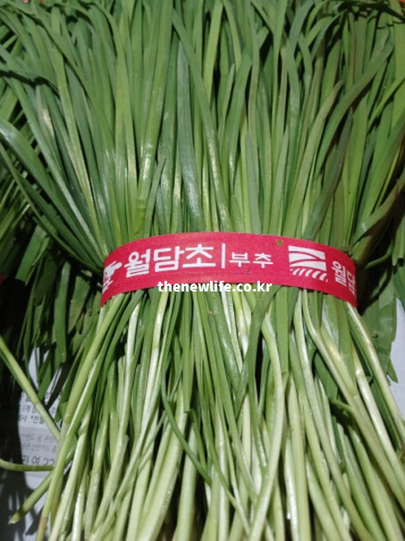 담장을 넘는다는 뜻의 '월담초' 별명이 적힌 부추 다발. 부추 효능을 높이는 섭취 방법을 상징하는 실사진