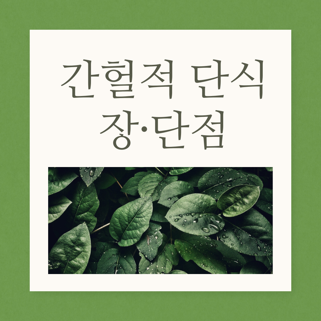 간헐적단식-장단점