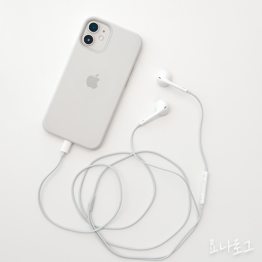 애플 애플이어폰 이어팟 에어팟 애플정품 애플정품이어폰 에어팟프로 이어폰추천 유선이어폰 무선이어폰 유선이어폰추천 무선이어폰추천 애플스토어 애플정품이어팟 애플정품에어팟 이어폰리뷰 내돈내산이어폰 내돈내산아이폰 아이폰 아이폰이어폰 earpods airpods