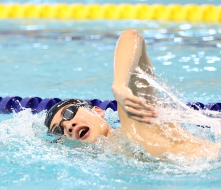 파리올림픽 황선우 주요경기