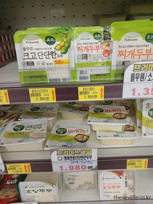 아침 공복 커피 부작용을 완화할 수 있는 두부, 단백질이 풍부하고 소화가 잘 되어 위산 자극을 줄이는 식품