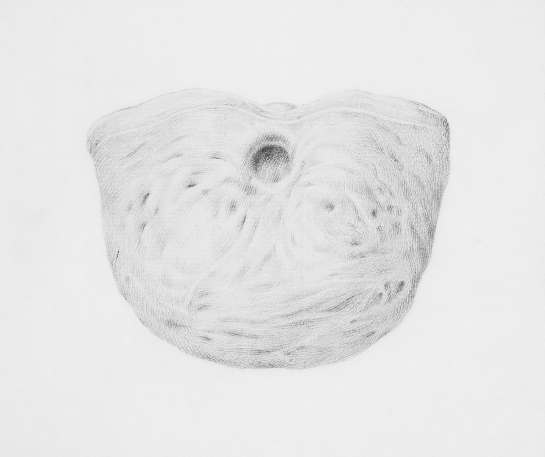 Bladder