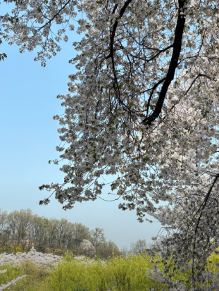 서울근교나들이