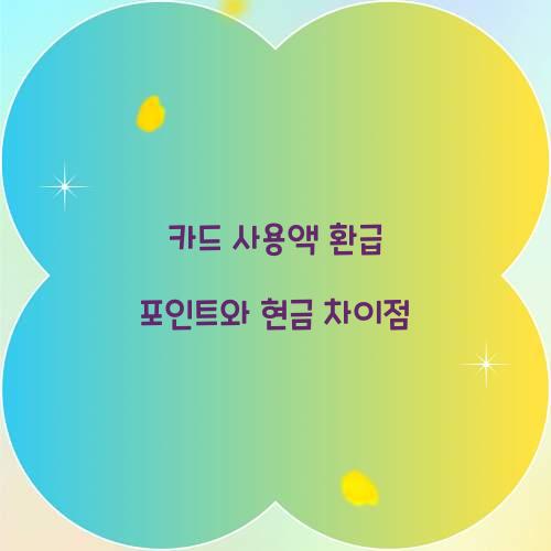 카드 사용액 환급 포인트와 현금 차이점